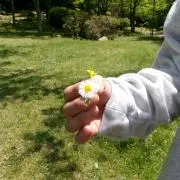 アイの画像