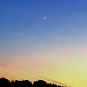 すい。の画像