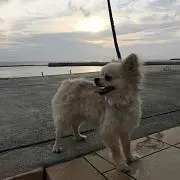 ゆか