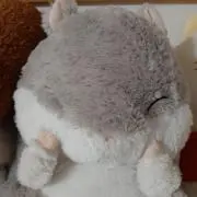 ラビットの画像