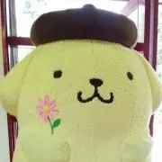 ふみゆの画像