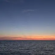 mut