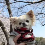 monaの画像