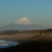 てりやきマックバーガーの画像