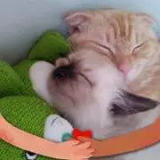 ちぃ