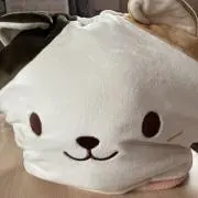 くーの画像