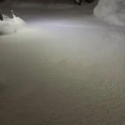 まことの画像