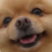 金沢の画像
