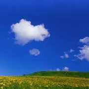 あおはる