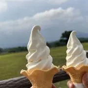 バニラの画像