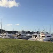 未使用】日本書道院 「高岡銅・鉄器」親子末 干支文鎮 金色 文鎮 置物