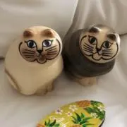 ポポちゃんの画像