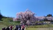 桑野の画像