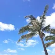 MUSE♡プロフ必読お願いします♡の画像
