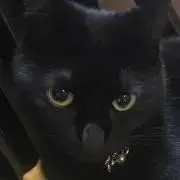 りんの画像