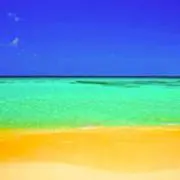 にょろの画像