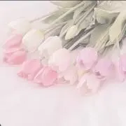 hime(  '  '  )♡の画像