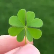 おもち☆即購入大歓迎☆なるべく早く発送♪の画像