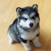 コウジ