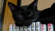 No.165の画像