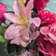 ♢掘り出し物お宝屋♢（＆四つ葉）