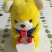 ジニの画像