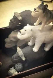 キャンティの画像