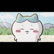 picoの画像