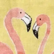megu(’-’*)♪の画像