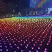 たかゆ