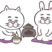 ねこ丸の画像