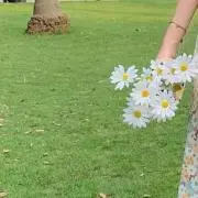 haya