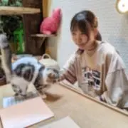 コガラの画像