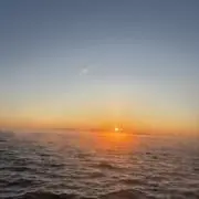 ひまわりの画像