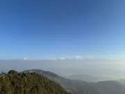 あおの画像