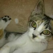 ☆うさこ★