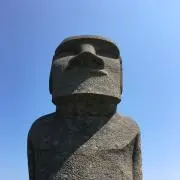 のんすけの画像