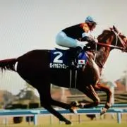 アンノウン