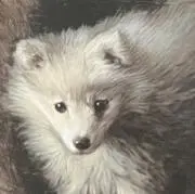 ののの