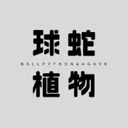 球蛇植物