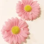 はな