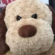 ろい