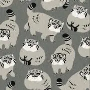 けすたろうの画像