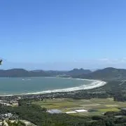 ようなし201819の画像