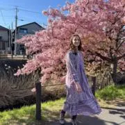 サラの画像