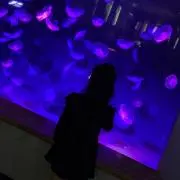 絆♡星 姉妹まま