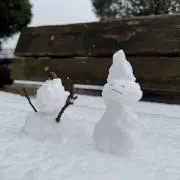 Skの画像