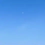WORIの画像