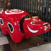 Tommyの画像