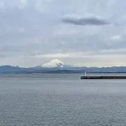 ゴマ太郎の画像